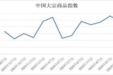 中國物流與采購聯(lián)合會：10月份中國大宗商品指數(shù)為102.8% 環(huán)比下降0.8%