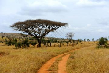 【原創(chuàng)】中國物流技術(shù)裝備走出國門——非洲篇