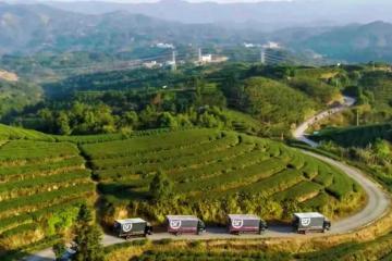 順豐深入原產(chǎn)地助力春茶香飄全國！
