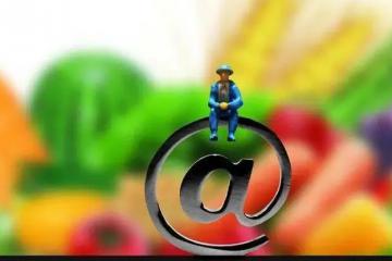 九部門加快推動農(nóng)村電商高質(zhì)量發(fā)展 集約推進(jìn)“千集萬店”改造提升工程