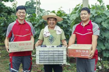 10年增長(zhǎng)10倍！構(gòu)建農(nóng)村快遞服務(wù)新模式