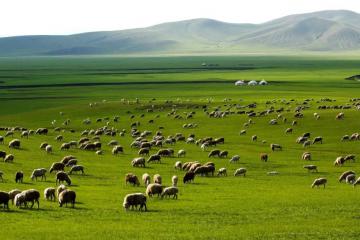解讀《關(guān)于加強(qiáng)自然資源要素保障促進(jìn)現(xiàn)代物流高質(zhì)量發(fā)展的通知》