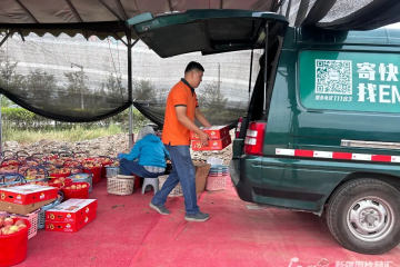 數(shù)據(jù)大揭秘！新疆各地的“快遞量之最”，都是啥？