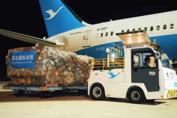 暫停訂艙！大面積停航！80個中國出發(fā)航次被取消！