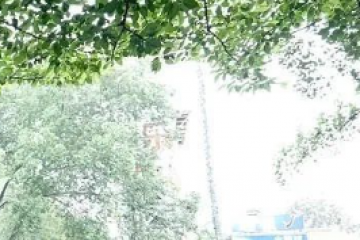 被智能時代遺忘，一群老人的“AI求生記”