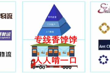 生存還是毀滅：專線們的兩難選擇題