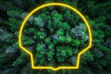 碳信用質量迷霧如何破？殼牌研討會揭曉企業(yè)脫碳關鍵防線