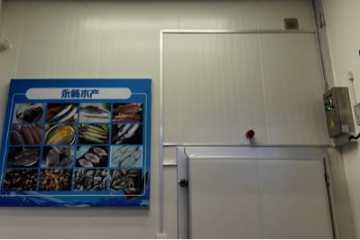 玉湖訪談錄｜從籃球教練到“凍二代”的蛻變