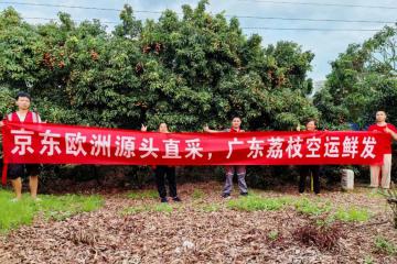 京東打通荔枝跨國冷鏈，48小時到消費者餐桌