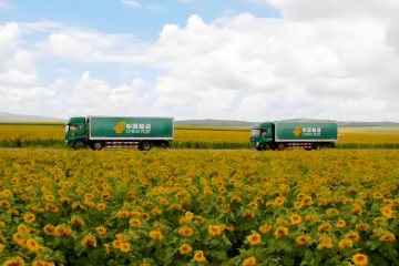 中國(guó)郵政：一邊虧錢送快遞，一邊狂賺865億，魔幻現(xiàn)實(shí)主義的國(guó)家隊(duì)巨獸