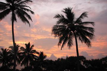 45倍躍升+17.8%毛利！中國物流企業(yè)激戰(zhàn)東南亞千億市場