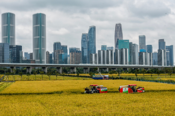 杭州成中國機(jī)器人與人工智能“搖籃