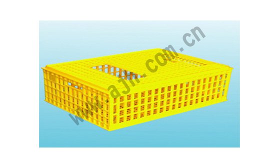 組合式鴿用周轉(zhuǎn)箱