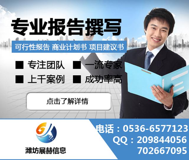 代寫融資計劃書,代寫商業(yè)計劃書，代寫可行性報告，代寫政府立項報告
