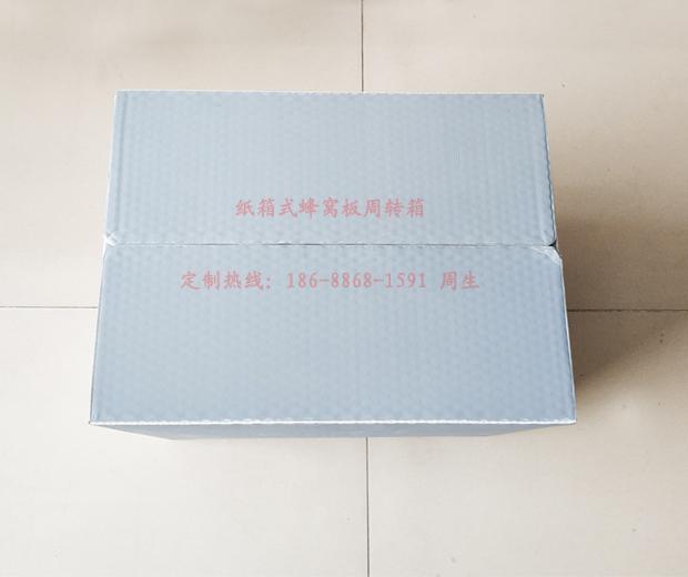 紙箱式PP中空板周轉(zhuǎn)箱 可折疊