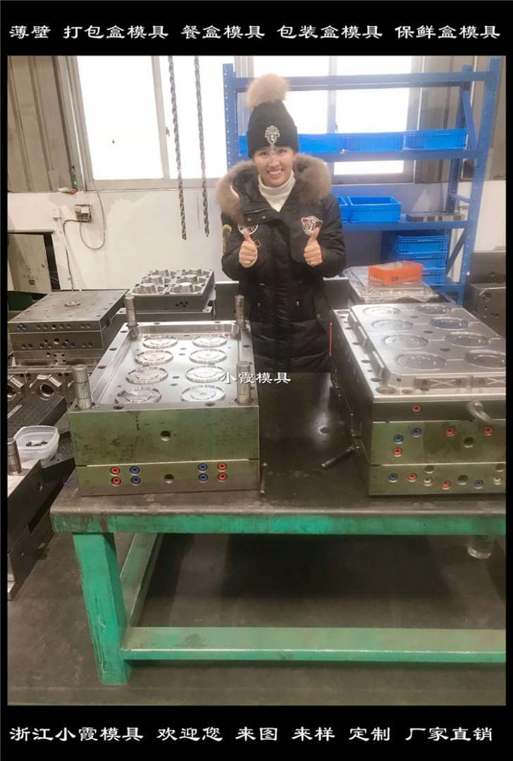 500ml薄壁便當(dāng)盒模具開模成本