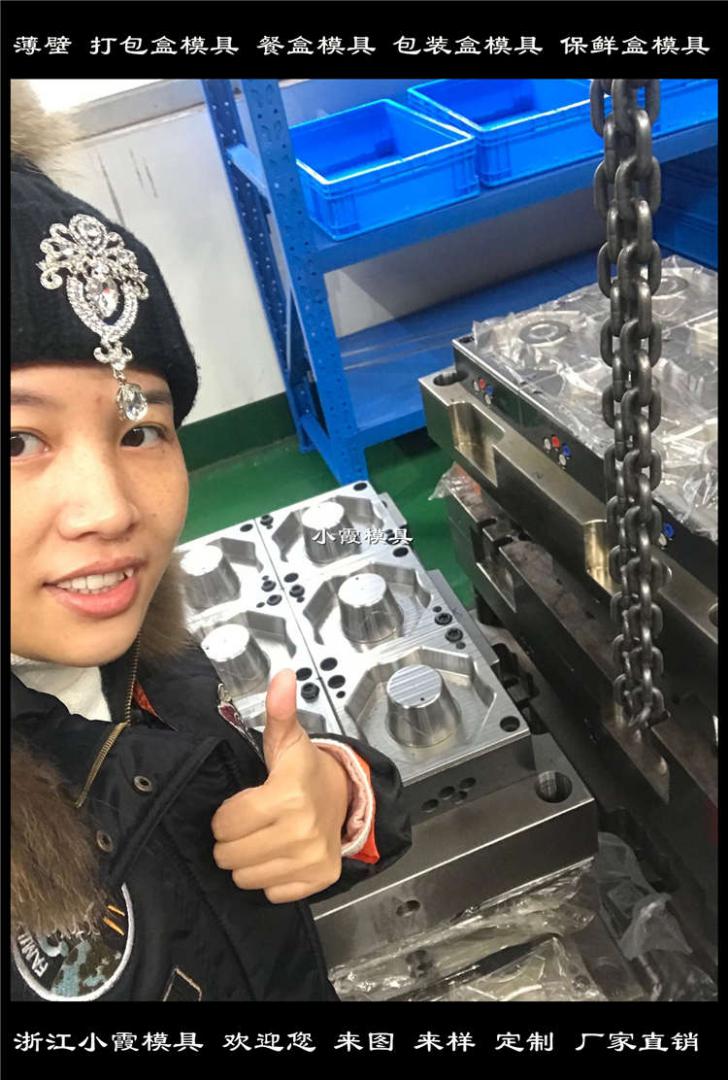 500ml薄壁便當(dāng)盒模具開模成本