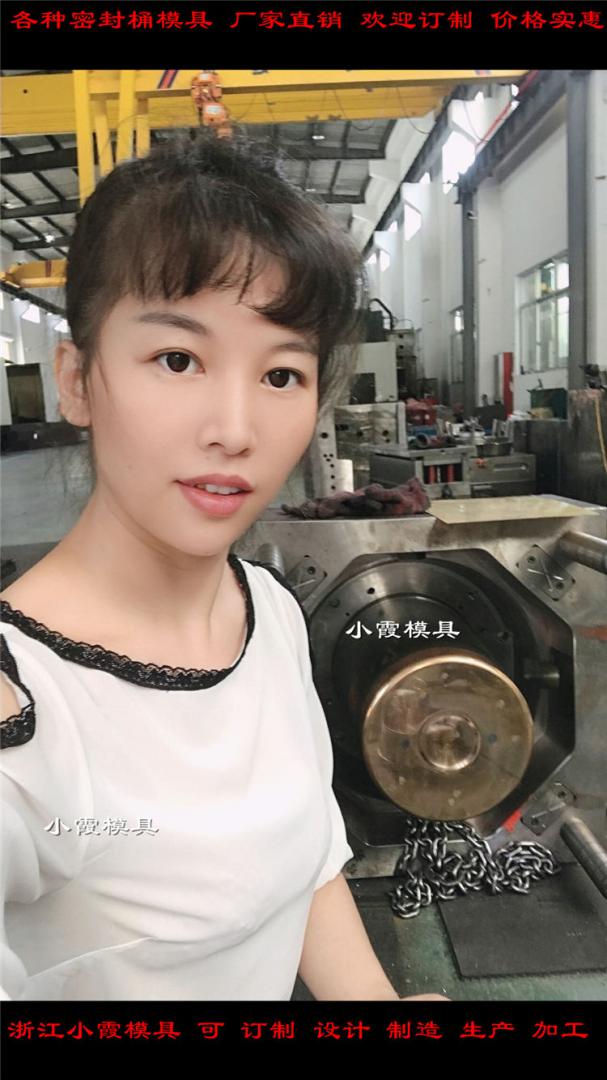 專業(yè)做20L乳膠桶注塑模具廠家