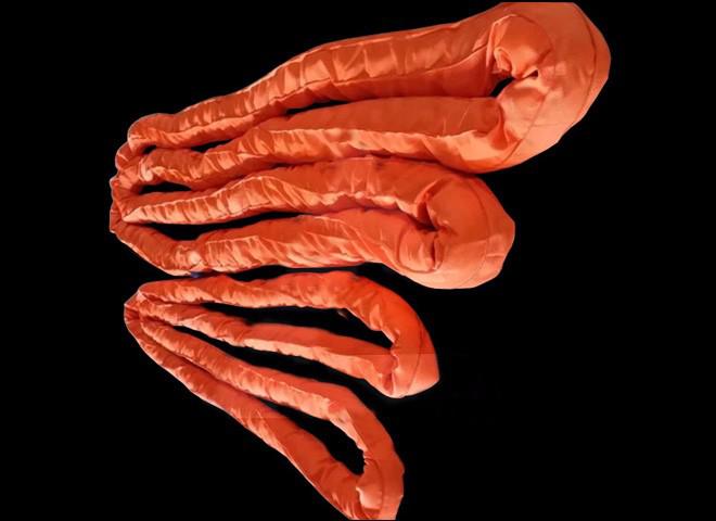 迪尼瑪?shù)跹b帶的特點及應用