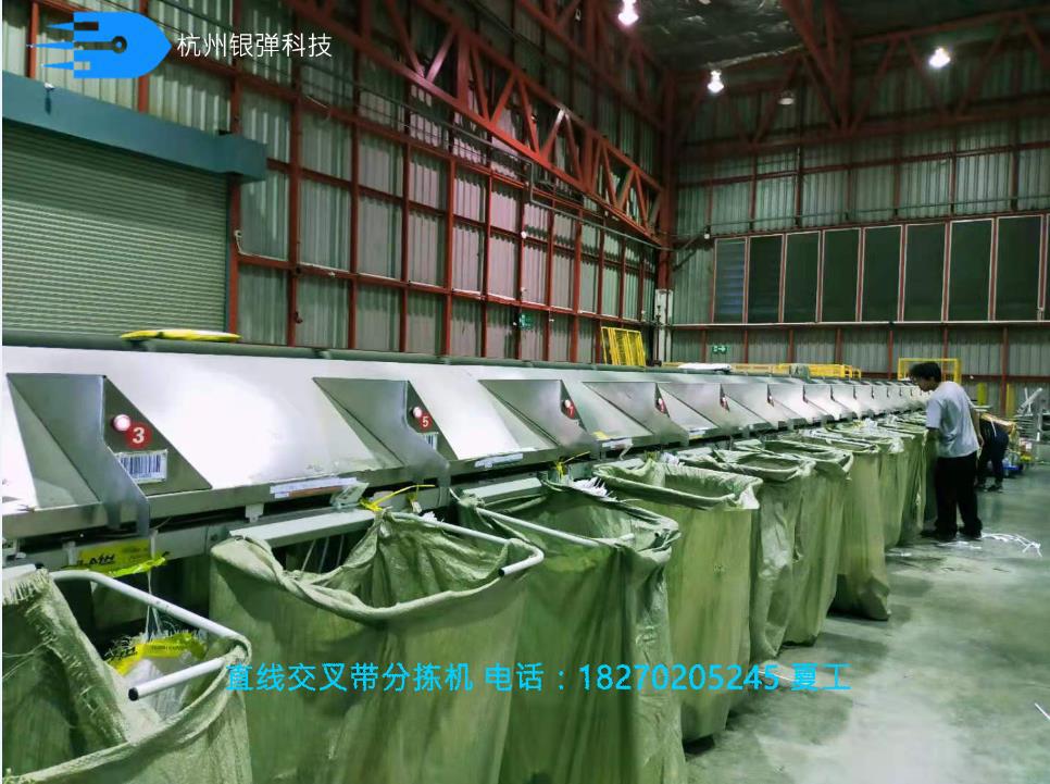 直線型交叉帶分揀機(jī)
