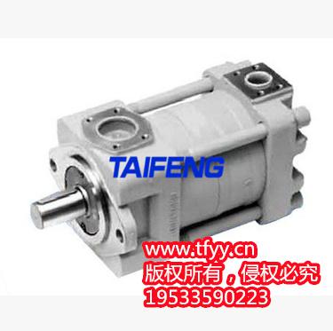 TFB1V63Y1X-LRB2柱塞泵價格泰豐智能