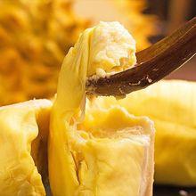 廣東進(jìn)口馬來西亞貓山王金枕榴蓮原箱整件冷凍榴蓮報(bào)關(guān)清關(guān)