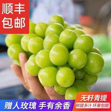 日本晴王葡萄新鮮水果無籽寶寶輔食孕婦營養(yǎng)青島港進(jìn)口報(bào)關(guān)