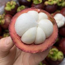 廣州港進(jìn)口泰國山竹熱帶水果寶寶輔食油竹麻現(xiàn)摘當(dāng)季報(bào)關(guān)清關(guān)