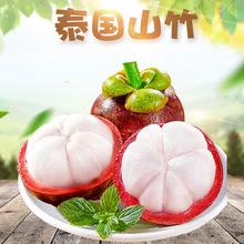 廣州港進(jìn)口泰國山竹熱帶水果寶寶輔食油竹麻現(xiàn)摘當(dāng)季報(bào)關(guān)清關(guān)