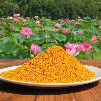 美國蜂花粉養(yǎng)蜂喂蜂純正蜜蜂飼料蜂蜜食品健康在常州港進口報關