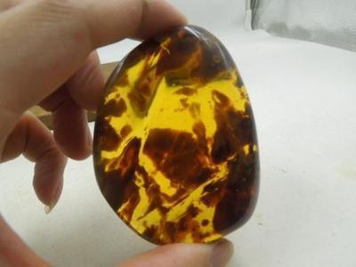 青島港進(jìn)口阿根廷琥珀雞油黃蜜蠟無優(yōu)化波羅的海大塊毛料報(bào)關(guān)清關(guān)