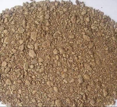 天津港進(jìn)口白豌豆雙低菜粕甜菜粕棕櫚粕所羅門群島椰子粕報(bào)關(guān)報(bào)檢