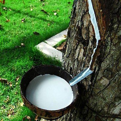 青島進口東南亞乳膠亞熱帶泰國化學(xué)工業(yè)用制造用軟墊報關(guān)報檢