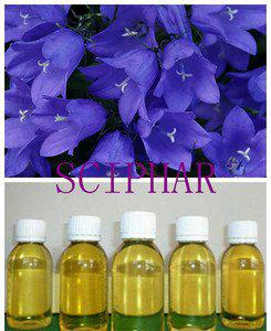 廣州進(jìn)口做皂材料原料基底油基礎(chǔ)油琉璃苣油德國(guó)報(bào)關(guān)報(bào)檢