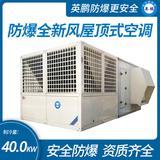 防爆全新風(fēng)屋頂式空調(diào)機制冷量40KW