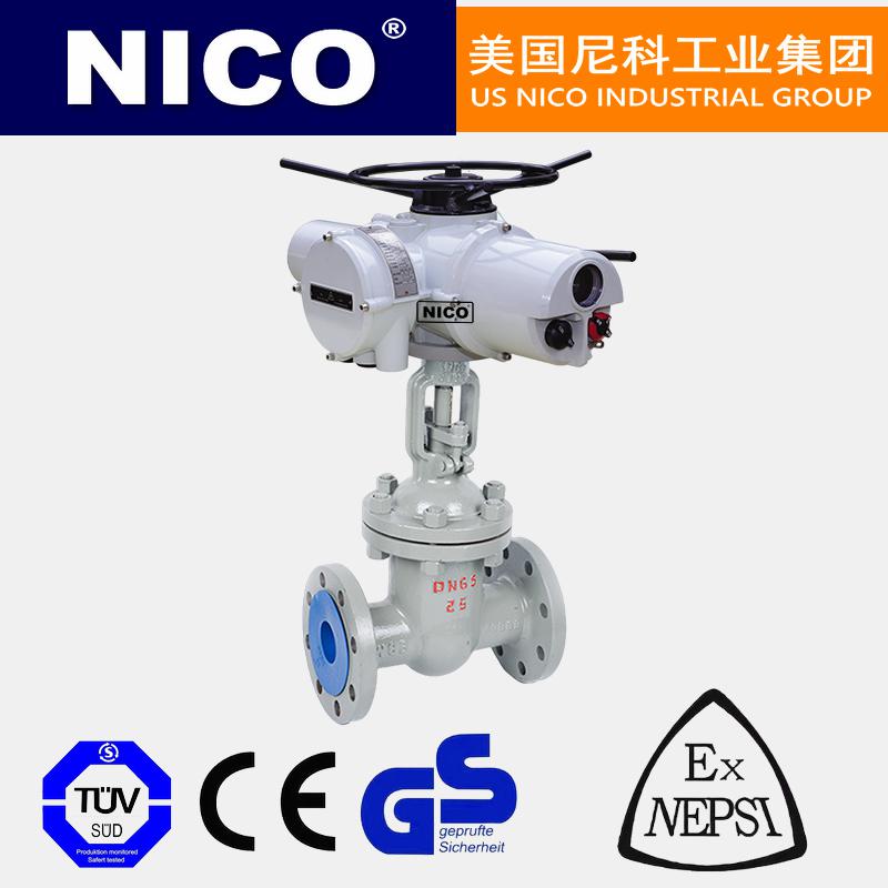 進(jìn)口電動(dòng)開關(guān)閘閥