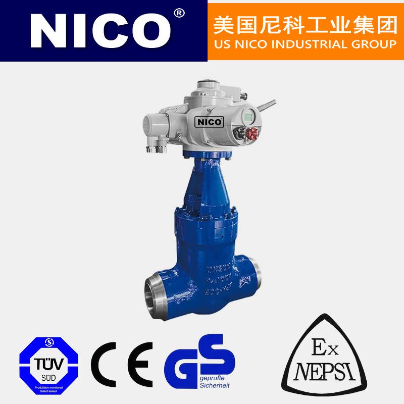 進(jìn)口電動(dòng)電站閘閥