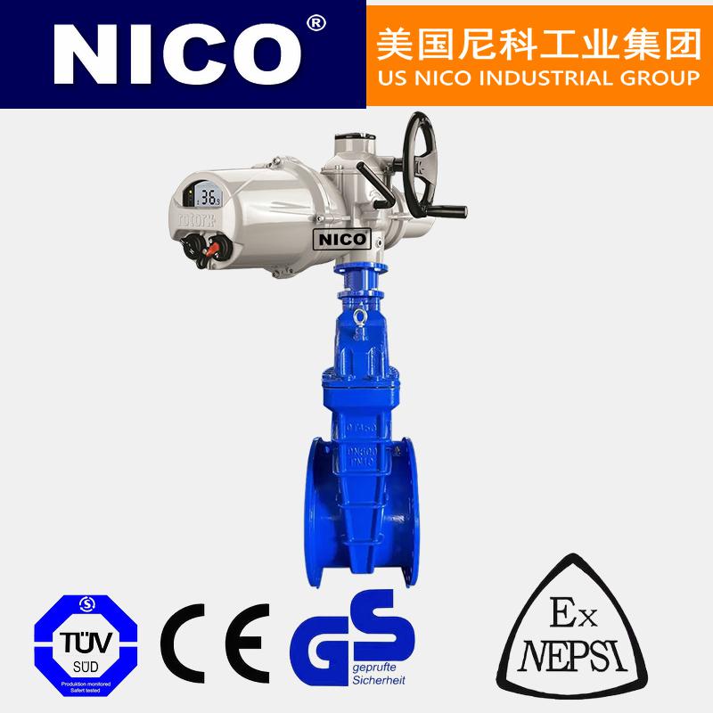 進(jìn)口電動暗桿閘閥