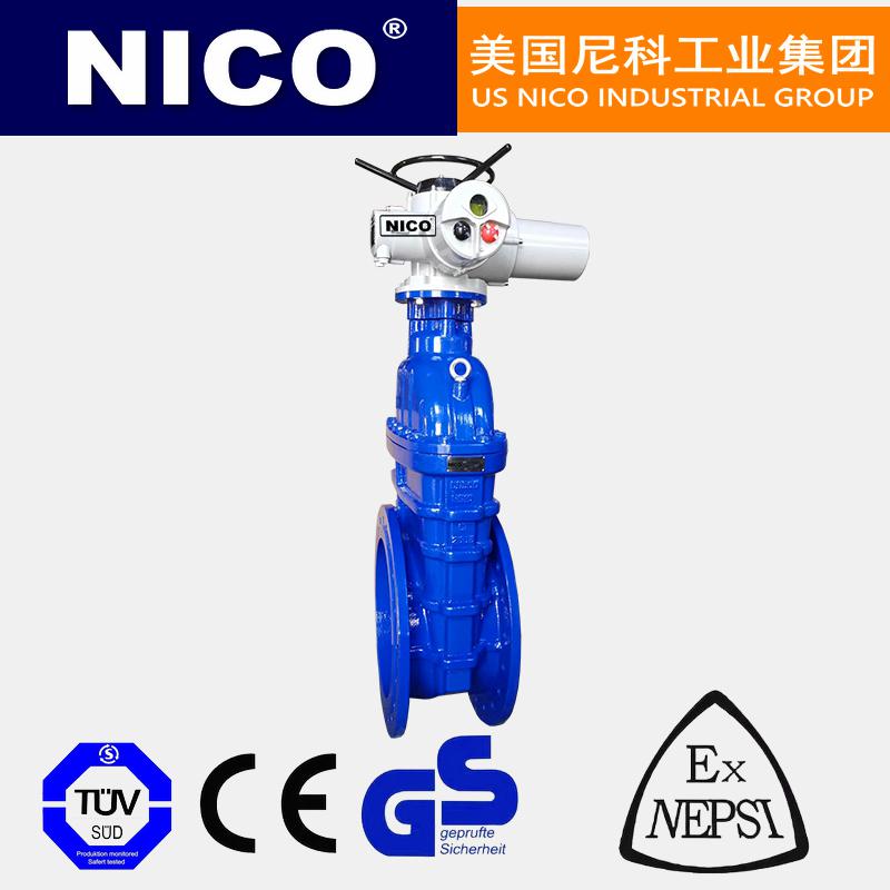 進(jìn)口暗桿電動閘閥