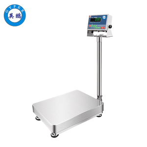 英鵬防爆全不銹鋼臺(tái)秤-  EXBZ-500/30-201FWT