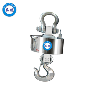 英鵬防爆電子吊稱-EXBZ-600/30T-OCS