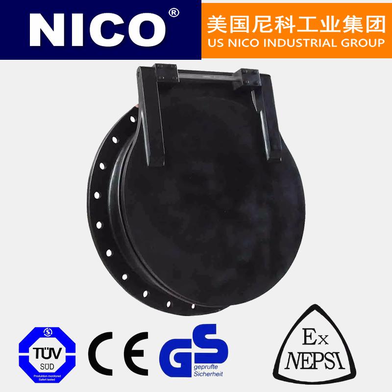 進(jìn)口拍門 防倒灌拍門 鑄鐵 鋼制