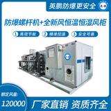 防爆螺桿機(jī)+全新風(fēng)恒溫恒濕風(fēng)柜