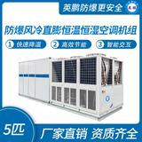 防爆風(fēng)冷直膨恒溫恒濕空調(diào)機(jī)組