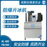 防爆分體式片冰機