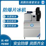 防爆分體式片冰機