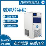 防爆一體式片冰機(jī)