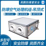 吊頂式防爆空氣處理機(jī)組