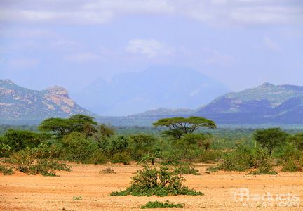 1706867390121297.jpg 300.jpg