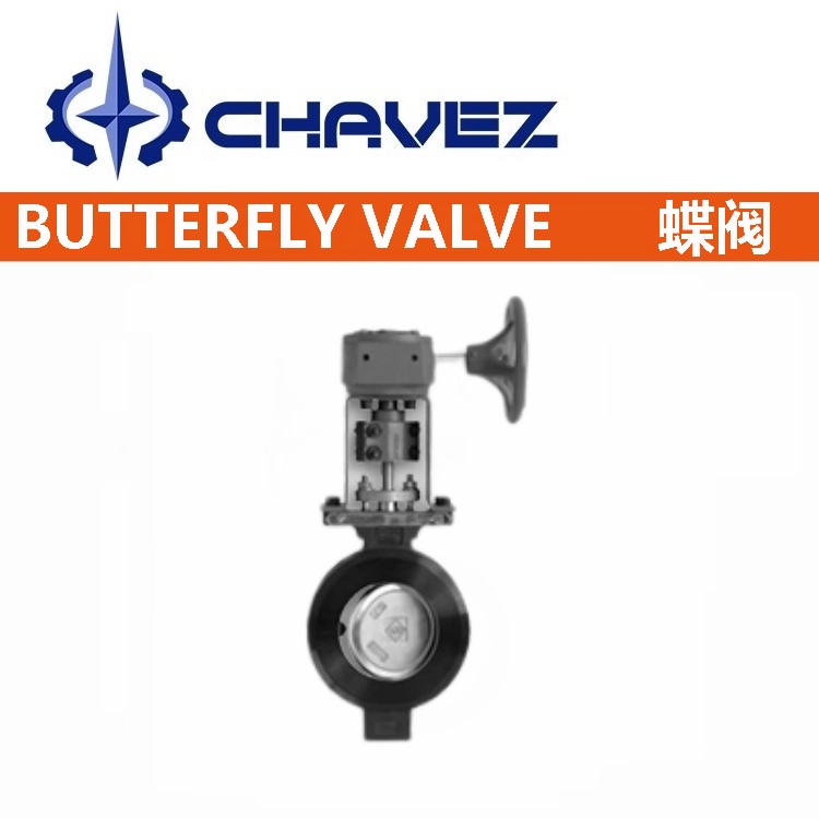 進(jìn)口雙偏心高性能蝶閥.jpg